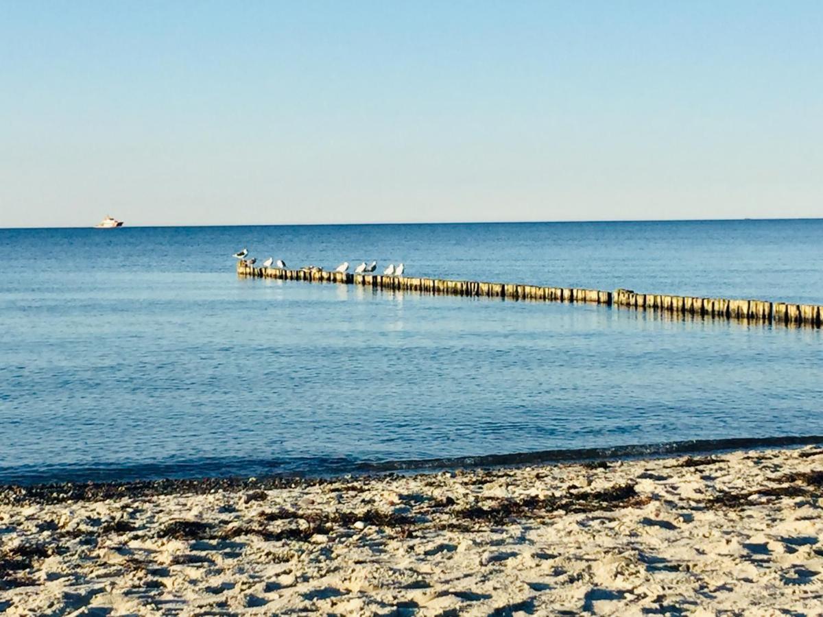 Aparthotel Waterkant Suites - Fewos Am Meer Mit Spa Börgerende-Rethwisch Exteriör bild
